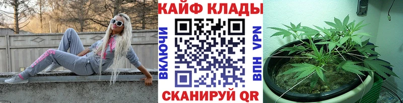 Купить наркотик Лянтор COCAIN A PVP Псилоцибиновые грибы АМФЕТАМИН Гашиш Конопля